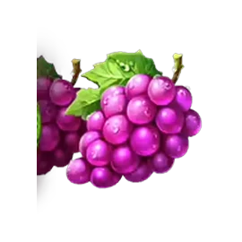 Grape symbol in Hot Burning Wins paytable